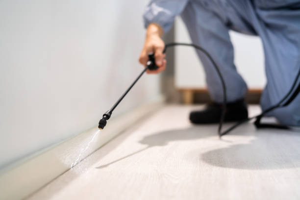 Licensed Pest Control service in Lake Orion, MI - Show Me Pest Control