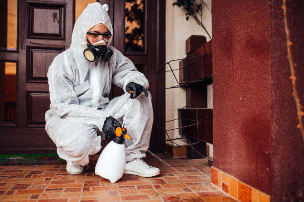 Reliable Ant Control contractor in Lake Orion, MI by Show Me Pest Control